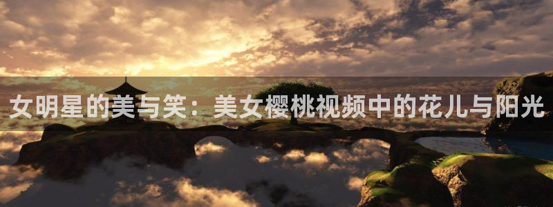 星空传媒播放