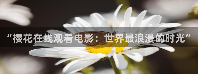 宿州星空电影城影讯