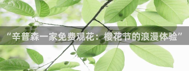 互联午马电影