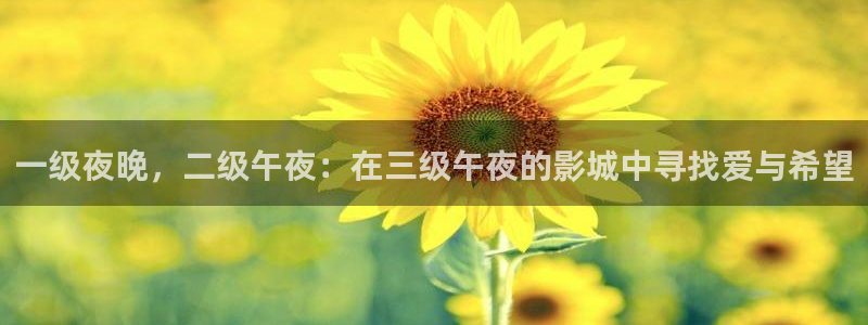 星空视频免费观看电影大全