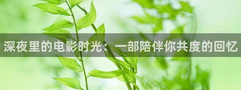 的星空