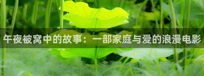 午马电影在线免费观看视频