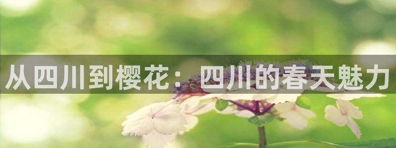 午马电影在线观看青柠电视剧免费