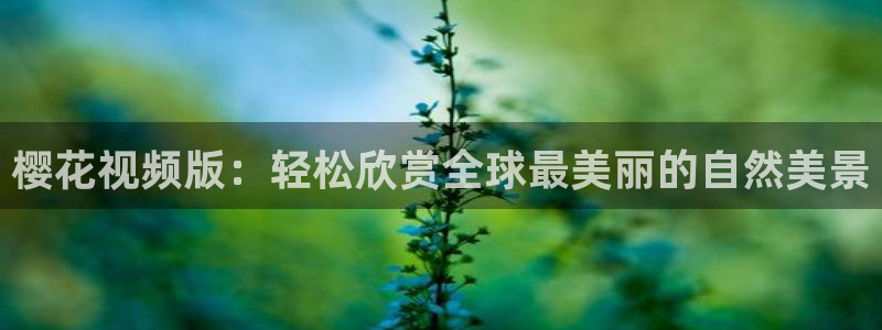 午马电影云飞跃