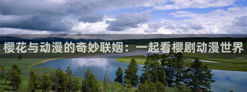 星空影视手机版官网