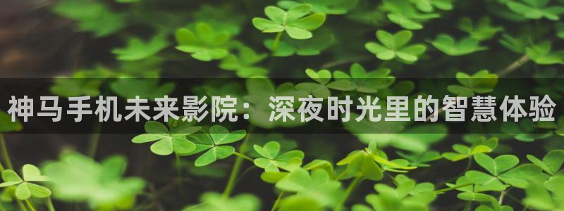 免费观看星空传媒