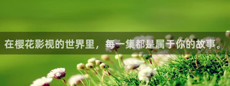 星空影视在线看