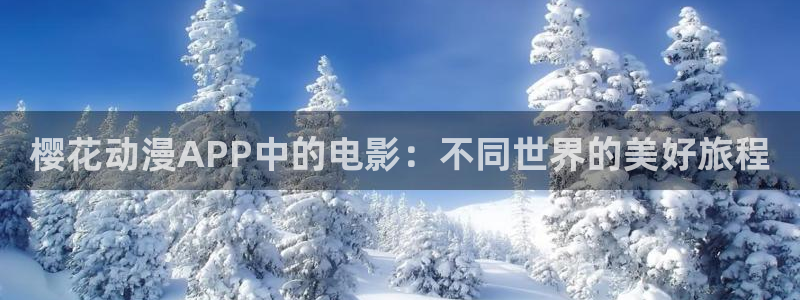 星空影视在线观看完整版