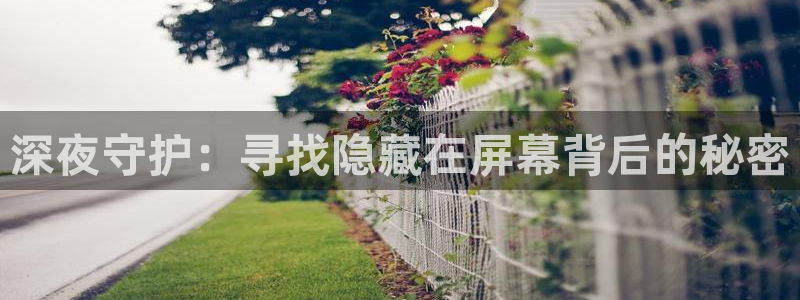 在线影院星空