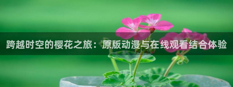 星空影视在线观看免费观看电视