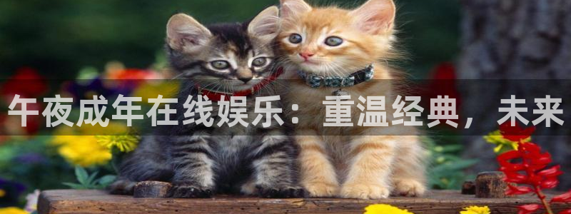 星空电影完整版