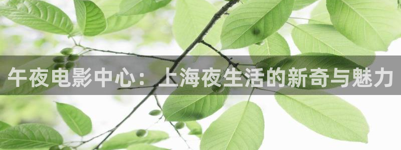 星空日本电影免费观看