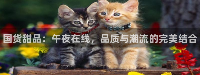 星空影视影视大全