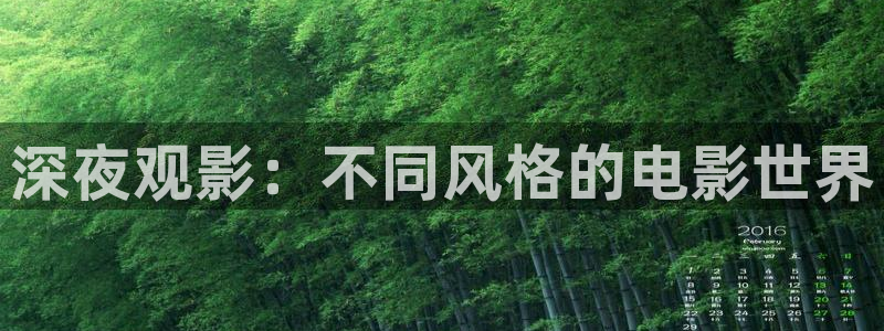 星空影视影视大全