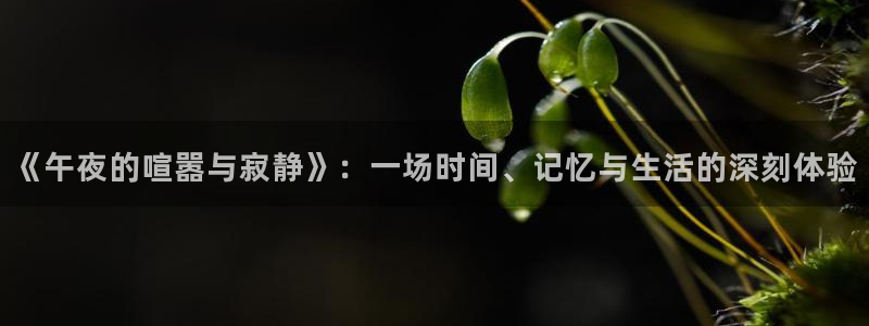 妈妈的朋友们午马电影