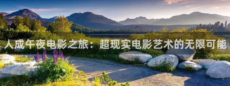 午马电影热播电视剧影视大全