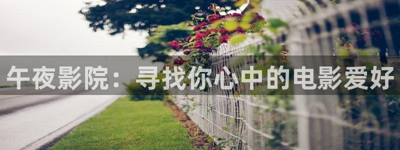 星空影视免费观看电影大全