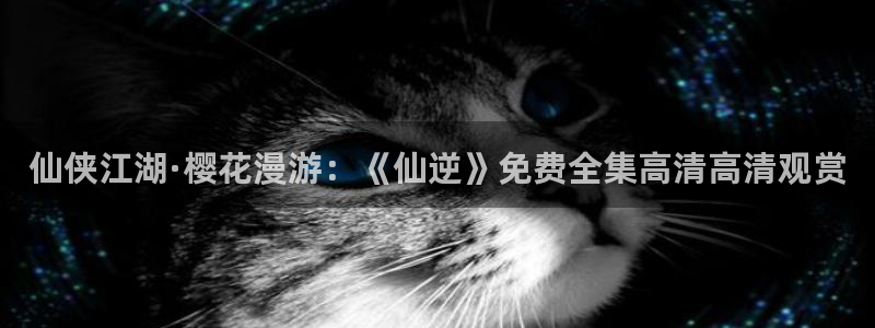 午马电影在线免费观看高清版